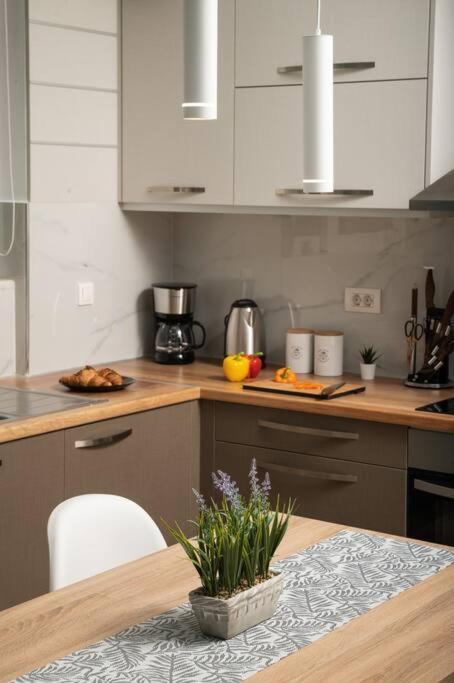 Apartment New Cozy Near The Center Of Chania *